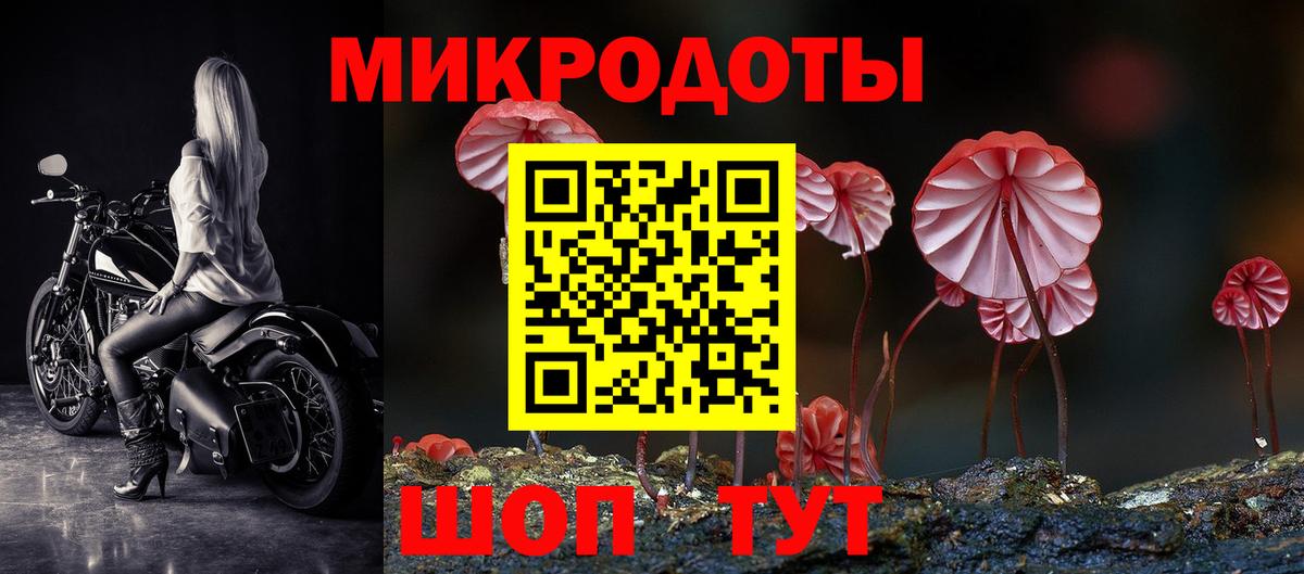 Галлюциногенные грибы мицелий Серов