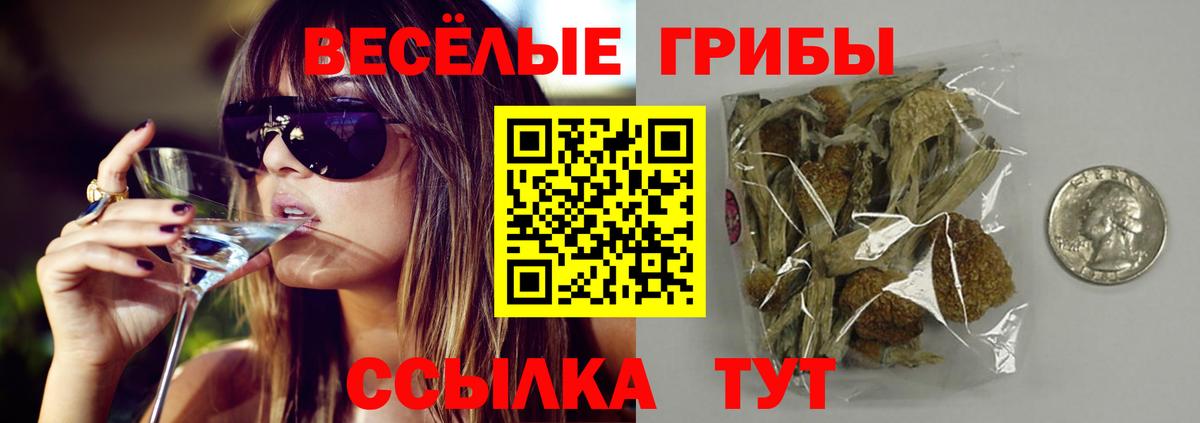 Серов  Галлюциногенные грибы мухоморы  Вход с VPN 